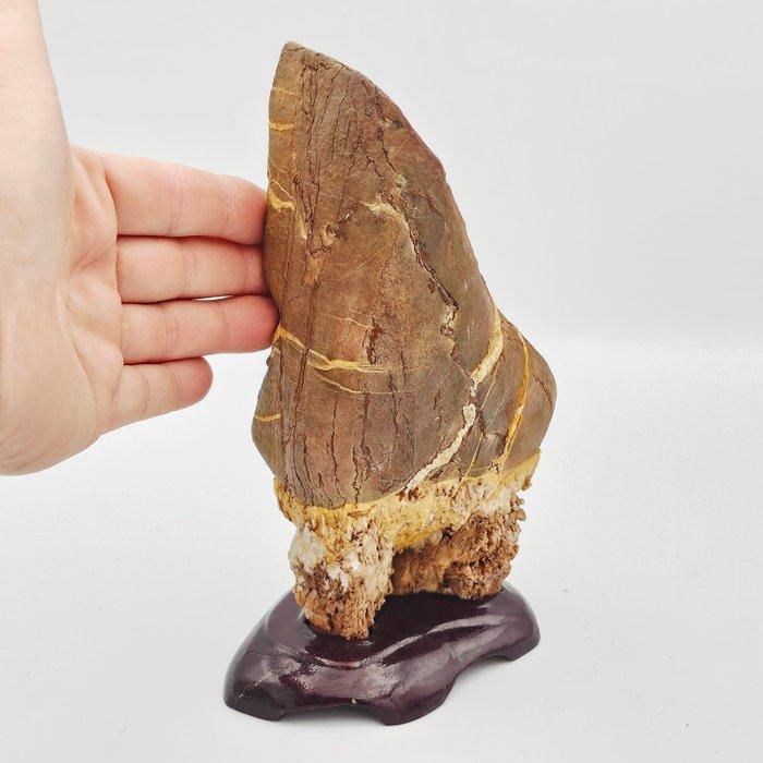 Oud-Chinees Fossiele mammoettanden Landscape Scolar Rock -, Antiek en Kunst, Antiek | Overige Antiek