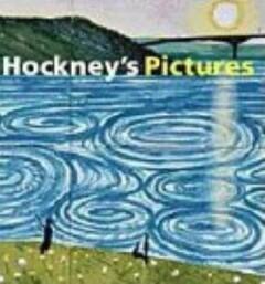 Hockneys Pictures 9780500093146 David Hockney, Boeken, Taal | Engels, Gelezen, Verzenden