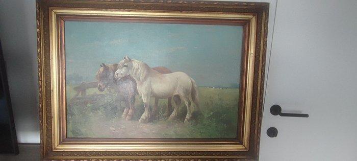 Paul Schouten (1860-1922) - Loving horses, Antiek en Kunst, Kunst | Schilderijen | Klassiek
