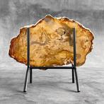 Époustouflante tranche de bois pétrifié sur un socle sur