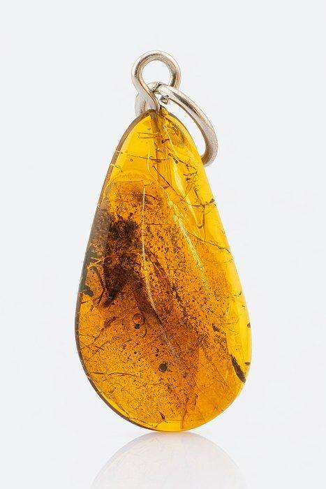 Premium Baltische Amber Sieraden – Ichneumonwesp-inclusie –, Antiek en Kunst, Curiosa en Brocante