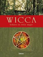 WICCA HEKSEN EN WITTE MAGIE PAP 9789057645372 L. Summers, Boeken, Verzenden, Gelezen, L. Summers