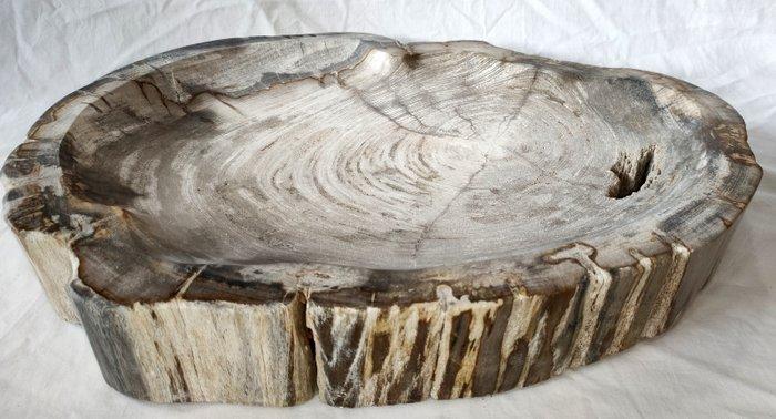 Kom - Bowl - versteend hout, Antiek en Kunst, Curiosa en Brocante