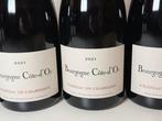 2021 Château de Charodon - Bourgogne Côte-dOr - 5 Fles, Verzamelen, Nieuw