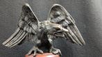 Statue, Roofvogel met gespreide vleugels - 25.5 cm - Bronze
