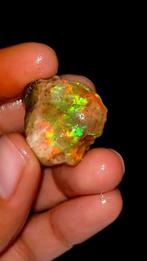 Opaal Bruto de fuego multicolor - 42,5Ct- 8.5 g