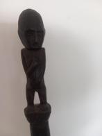Tun tun stok - Kalimantan - Iban Dayak - Indonésie (Sans