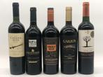 Mixed lot of 5 x 75cl New World authentic reds (rood), Verzamelen, Wijnen, Ophalen of Verzenden, Nieuw, Overige gebieden, Rode wijn