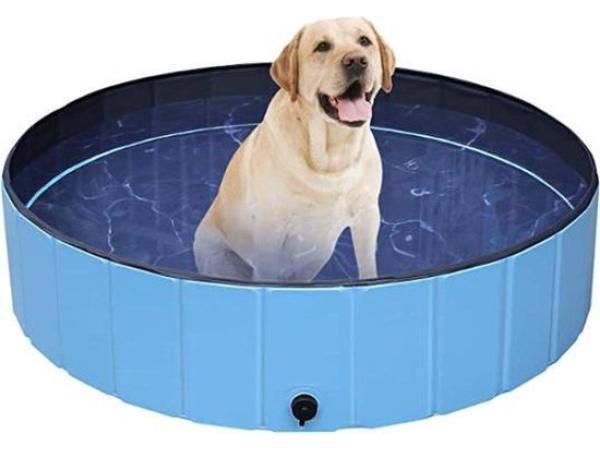 Veiling - iBello Hondenzwembad 120x120x30cm, Tuin en Terras, Zwembaden