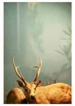 Roberto Cavalli (1971) - Into the wild / reliquary deer #957, Antiek en Kunst