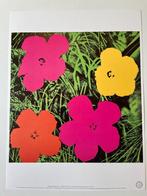 Andy Warhol (1928-1987) - Flower, 1964, Antiek en Kunst