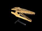 Uitzonderlijke Mosasaurus - Fossiele schedel - 62 cm - 52 cm, Verzamelen, Mineralen en Fossielen