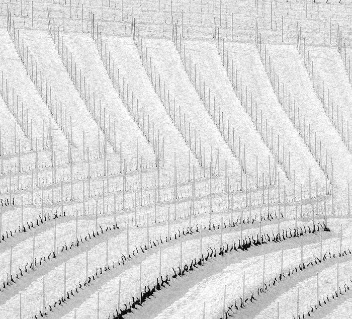 Franco Turcati - Langhe Inverno (521), Antiek en Kunst, Kunst | Designobjecten