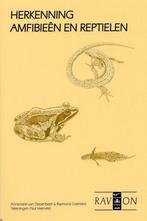 Herkenning Amfibieen En Reptielen 9789080343030, Boeken, Verzenden, Zo goed als nieuw, A. van Diepenbeek