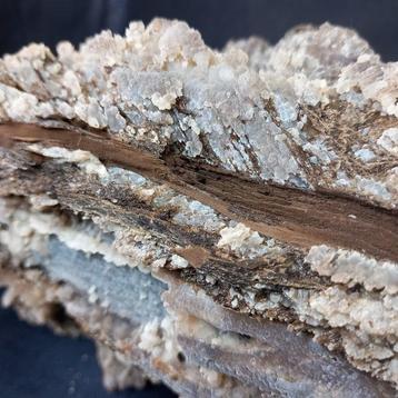 Calcedoine sur bois fossile Rugueuse - Hauteur : 16 cm -