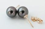 Oorstekers - 14 karaat Geel goud Parel - Donker, Handtassen en Accessoires