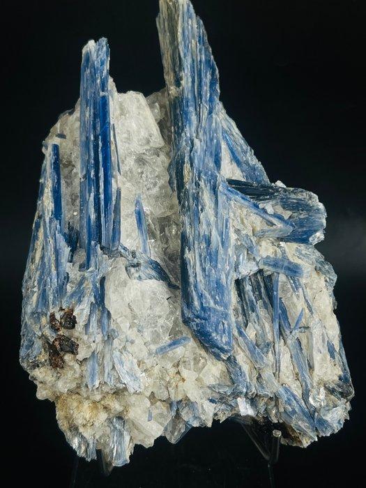 Braziliaanse kyaniet in kwarts Indrukwekkende blauwe, Verzamelen, Mineralen en Fossielen
