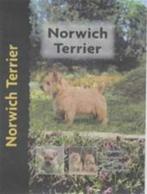 Norwich Terrier, Verzenden