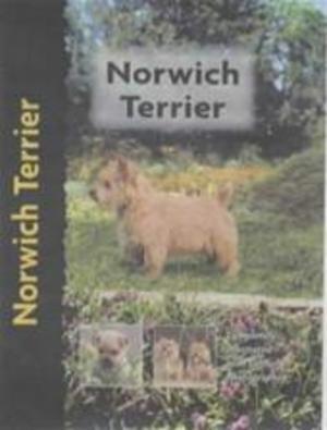 Norwich Terrier, Livres, Langue | Anglais, Envoi