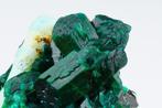 Groot DIOPTASE-kristal met CHRYSOCOLLA op matrix mooie