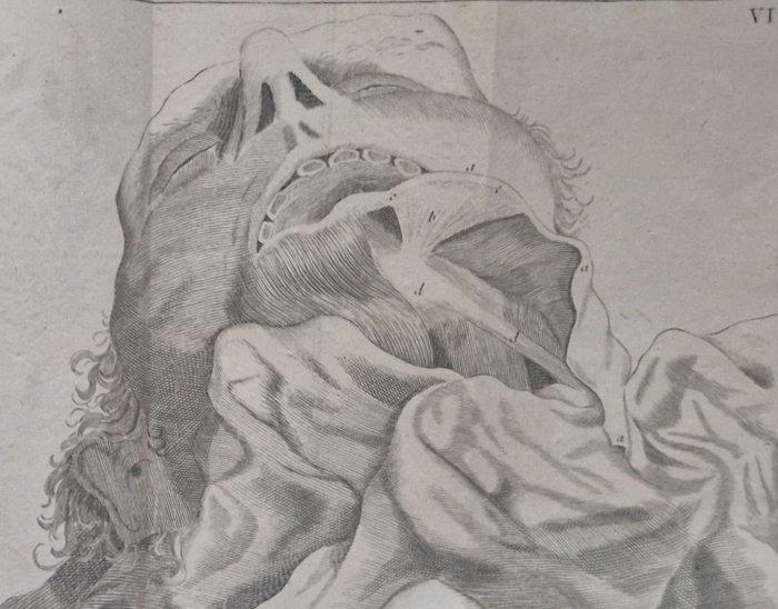 François-Xavier Swediaur - Observations pratiques sur les, Antiquités & Art, Antiquités | Livres & Manuscrits