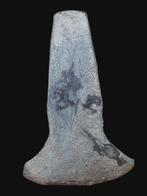 Bronstijd Brons Bijl