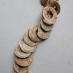 Belangrijke en waardevolle Konus Geldketting uit Yangoru. -, Antiek en Kunst