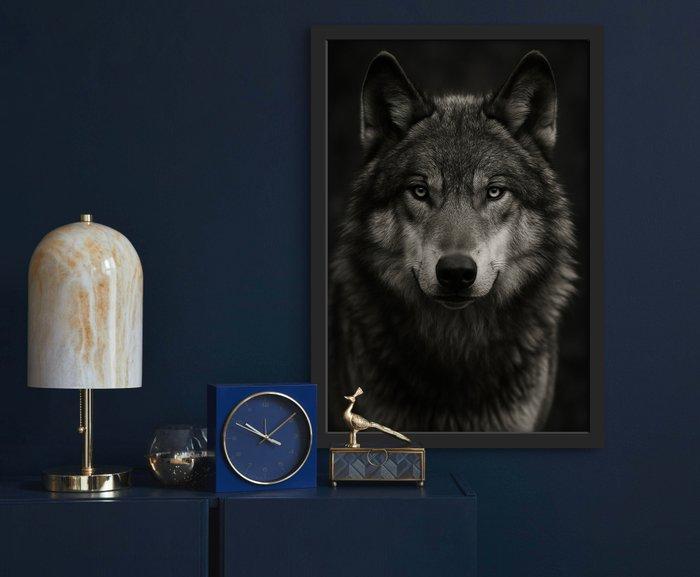 Tristan Mottier - Né du silence, Antiek en Kunst, Kunst | Designobjecten