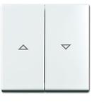 ABB Busch-Jaeger Balance SI Control Element/Central Plate, Verzenden, Nieuw