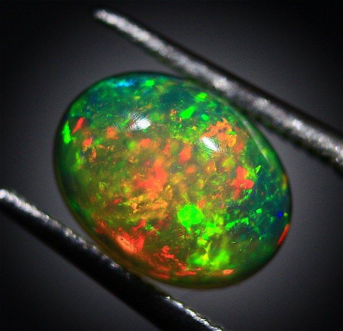 Ct. 5.40 Opali Etiopi Cabochon Ovaal - Topkleurcollectie -, Collections, Minéraux & Fossiles