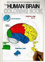 Human Brain Colouring Book FIRM 9780064603065, Verzenden, Zo goed als nieuw, Arnold B Scheibel