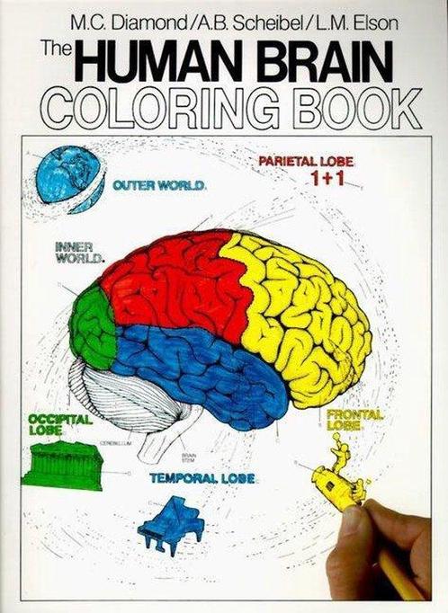 Human Brain Colouring Book FIRM 9780064603065, Boeken, Overige Boeken, Zo goed als nieuw, Verzenden