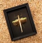 Plafond en mouvement Support de corps entier pour taxidermie, Nieuw