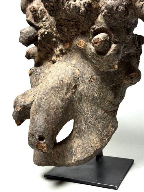 Grote boomwortelmasker - Nepal (Zonder Minimumprijs), Antiek en Kunst, Kunst | Niet-Westerse kunst