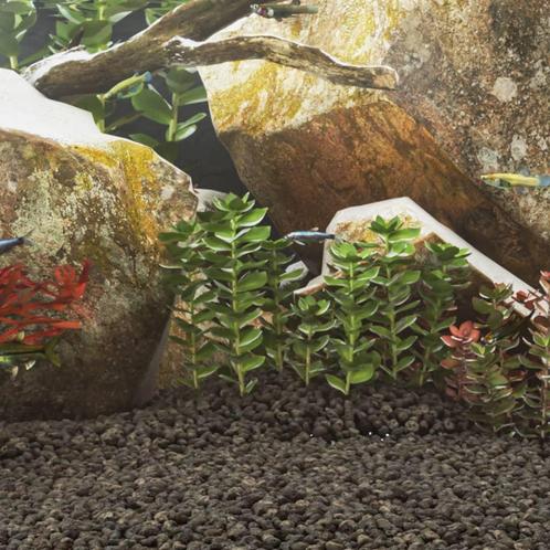 vidaXL Lavastenen 10 kg 1-2 cm zwart, Dieren en Toebehoren, Vissen | Aquaria en Toebehoren, Nieuw, Verzenden
