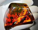 FOSSl-AMAZING!! Dominicaanse amber - 325 ct- 65 g