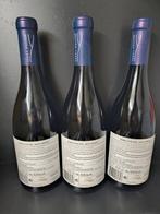 2018 Terra dAlter, Sete Linhas - Alentejo - 3 Bouteilles, Verzamelen, Wijnen, Nieuw