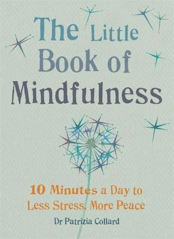 Little Book Of Mindfulness 9781856753531 Dr Patrizia Collard, Verzenden, Dr Patrizia Collard