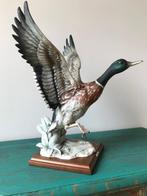 Capodimonte - Giuseppe Armani - Beeld, Opstijgende eend - 40