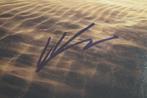 Star Wars - Hayden Christensen - Rare autograph, photo,, Verzamelen, Nieuw
