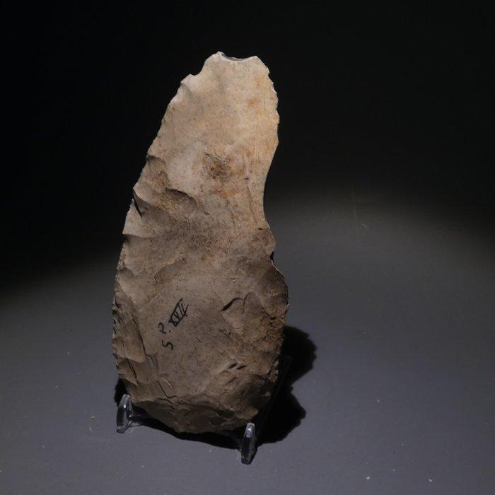 Neolithisch Big Flint. 13,5 cm L. Mes - 5000 v.Chr. Bijl, Collections, Minéraux & Fossiles