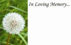 Condoleancekaart in loving memory paardenbloem lovin, Hobby en Vrije tijd, Nieuw