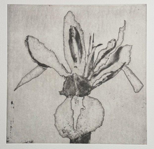 Alaleh Alamir (1959) - Les Fleurs qui mont fait du Bien, Antiek en Kunst, Antiek | Overige Antiek