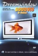 Dreamwindow - goudvis op DVD, Verzenden
