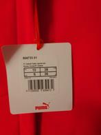 Ferrari - Formule 1 - Teamkleding, Collections