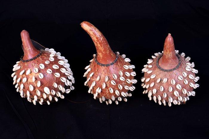 Calabash shakers - DR Congo (Zonder minimumprijs), Antiquités & Art, Art | Art non-occidental