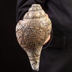 Antieke schelp Shankha Zeeschelp - Sankha Conch Carved, Nieuw