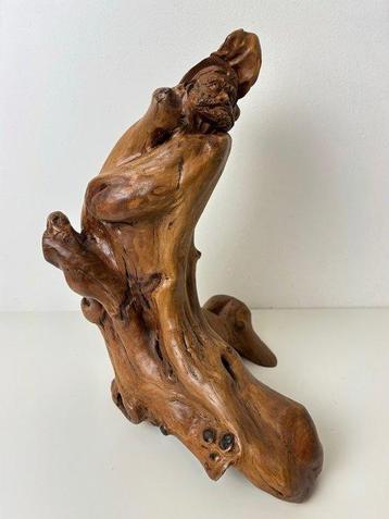 Japanse gesculpteerd Burl Root Wood jaren Meiji Era -