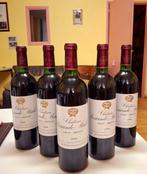 1998 Château Sociando-Mallet - Haut-Médoc - 6 Flessen (0.75, Verzamelen, Wijnen, Nieuw