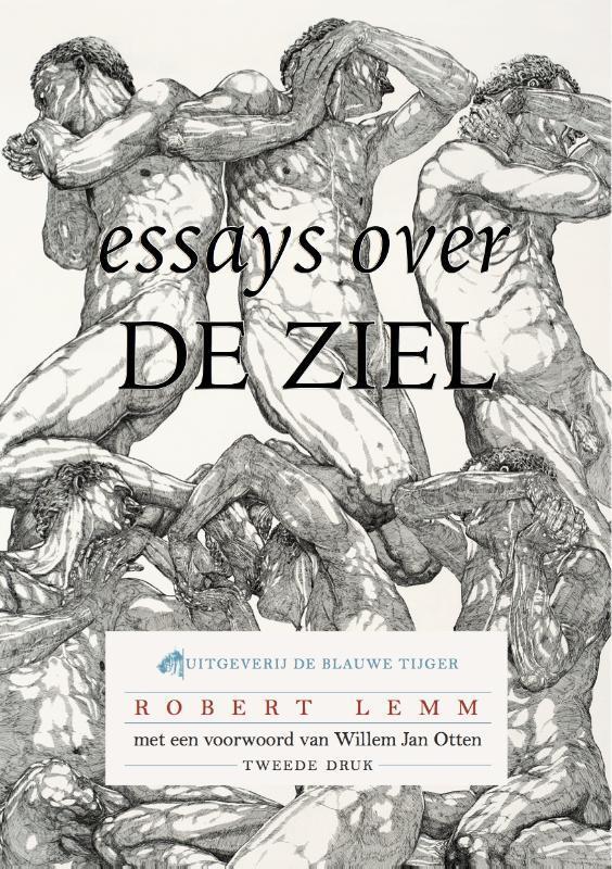 Essays over de ziel / Blauwetijgerreeks / 2 9789082113372, Boeken, Filosofie, Zo goed als nieuw, Verzenden